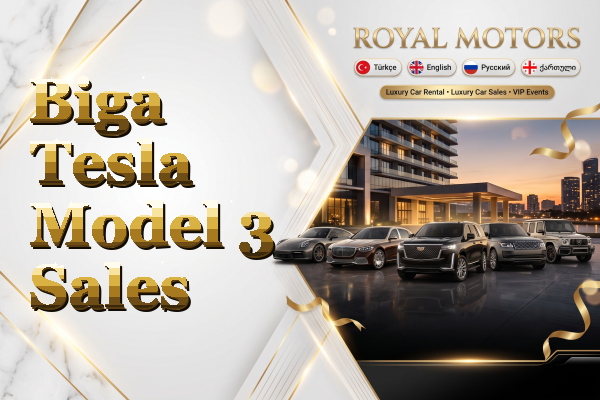 Biga Tesla Model 3 Sales