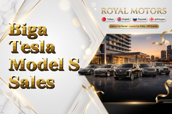 Biga Tesla Model S Sales