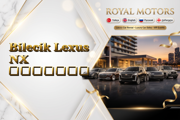 Bilecik Lexus NX გაყიდვა