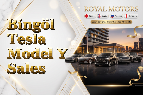 Bingöl Tesla Model Y Sales