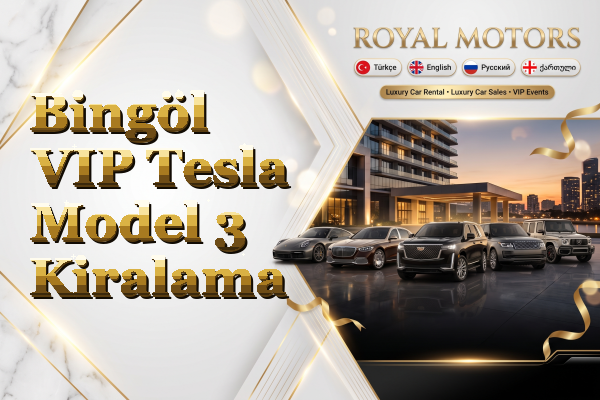 Bingöl VIP Tesla Model 3 Kiralama