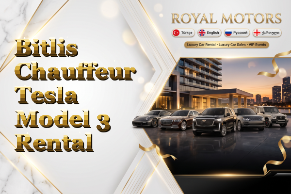 Bitlis Chauffeur Tesla Model 3 Rental