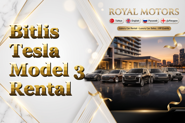 Bitlis Tesla Model 3 Rental