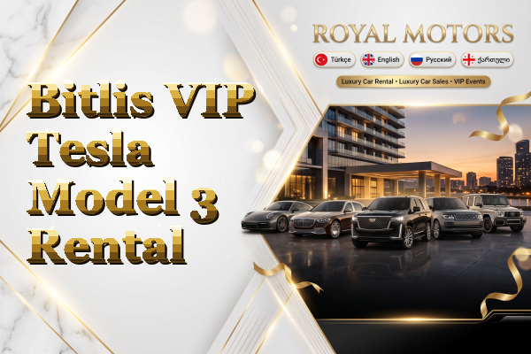 Bitlis VIP Tesla Model 3 Rental