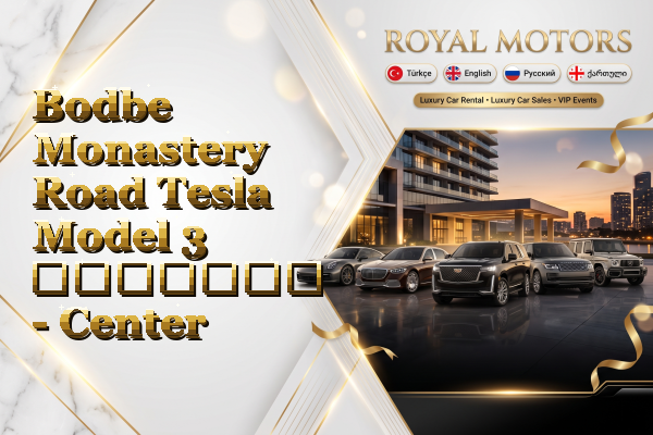 Bodbe Monastery Road Tesla Model 3 გაყიდვა - Center
