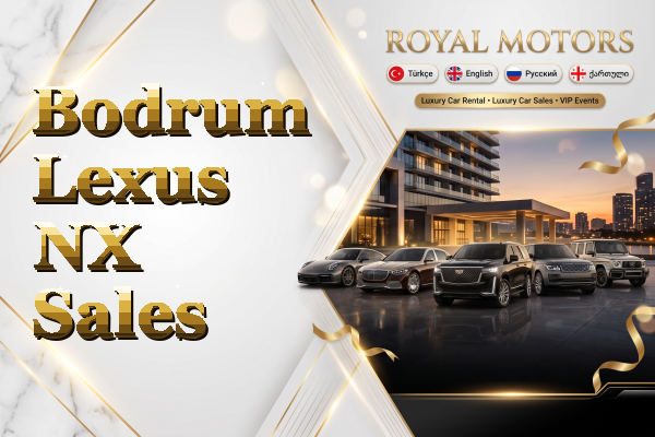 Bodrum Lexus NX Sales