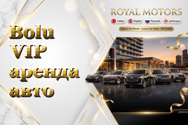Bolu VIP аренда авто
