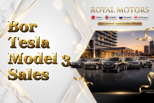 Bor Tesla Model 3 Sales