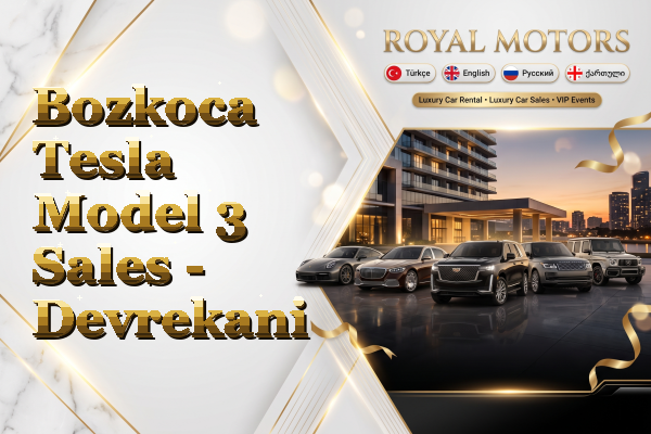 Bozkoca Tesla Model 3 Sales - Devrekani