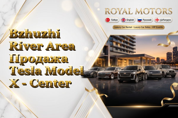 Bzhuzhi River Area Продажа Tesla Model X - Center