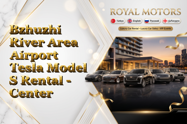 Bzhuzhi River Area Airport Tesla Model S Rental - Center