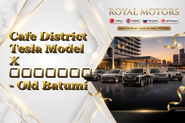 Cafe District Tesla Model X გაყიდვა - Old Batumi