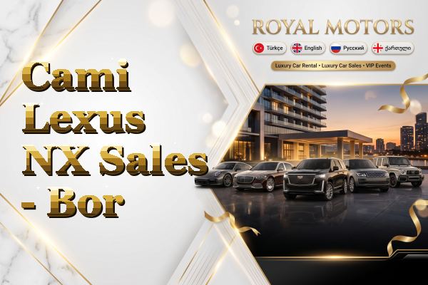 Cami Lexus NX Sales - Bor