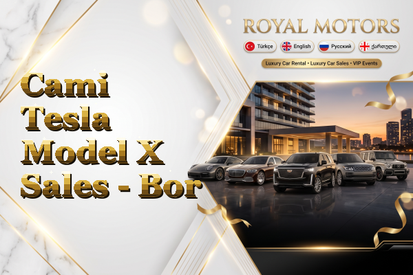 Cami Tesla Model X Sales - Bor