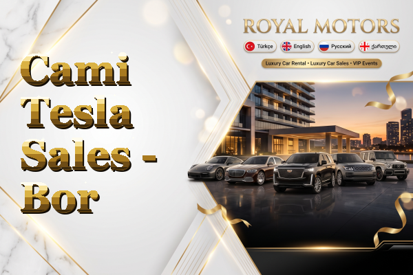 Cami Tesla Sales - Bor