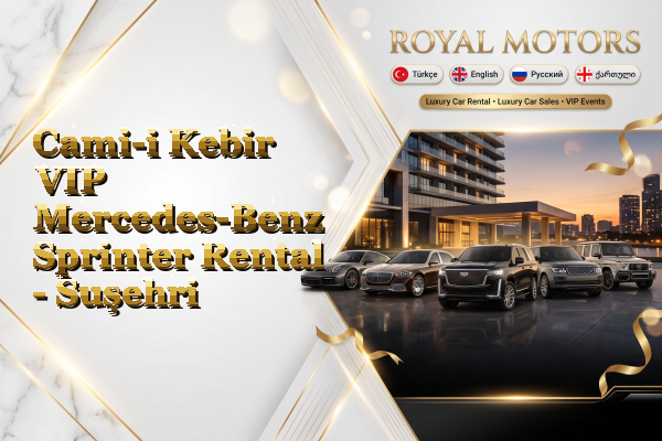 Cami-i Kebir VIP Mercedes-Benz Sprinter Rental - Suşehri
