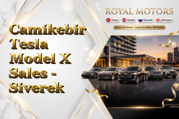 Camikebir Tesla Model X Sales - Siverek