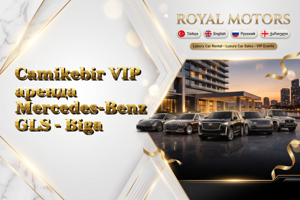 Camikebir VIP аренда Mercedes-Benz GLS - Biga