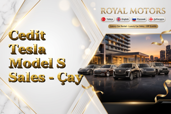 Cedit Tesla Model S Sales - Çay