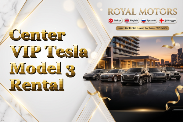 Center VIP Tesla Model 3 Rental