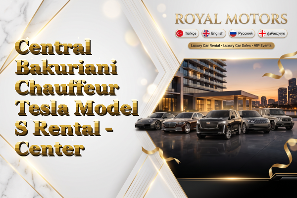 Central Bakuriani Chauffeur Tesla Model S Rental - Center