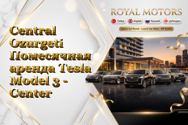 Central Ozurgeti Помесячная аренда Tesla Model 3 - Center