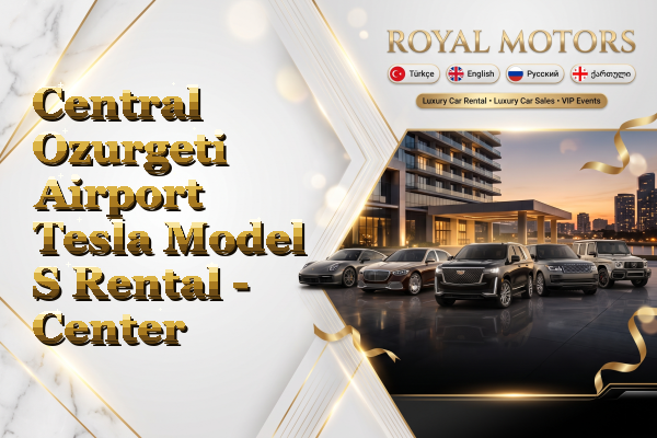 Central Ozurgeti Airport Tesla Model S Rental - Center