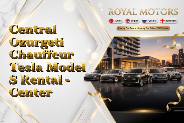 Central Ozurgeti Chauffeur Tesla Model S Rental - Center