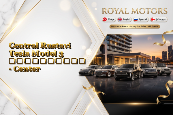 Central Rustavi Tesla Model 3 გაქირავება - Center