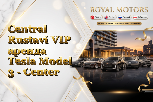 Central Rustavi VIP аренда Tesla Model 3 - Center