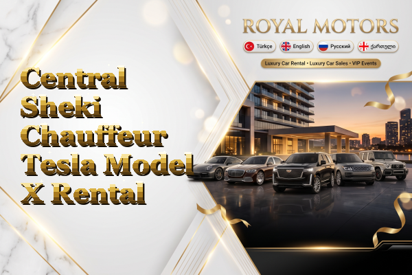 Central Sheki Chauffeur Tesla Model X Rental