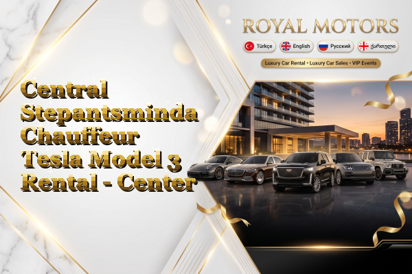 Central Stepantsminda Chauffeur Tesla Model 3 Rental - Center