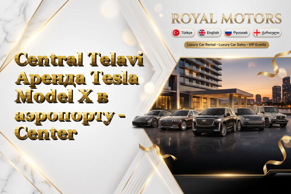 Central Telavi Аренда Tesla Model X в аэропорту - Center
