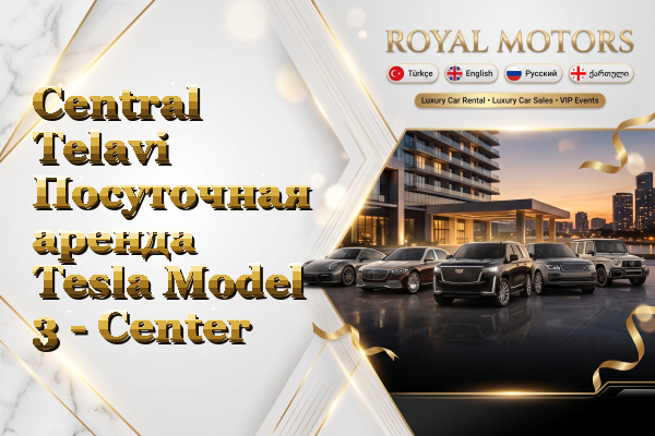 Central Telavi Посуточная аренда Tesla Model 3 - Center
