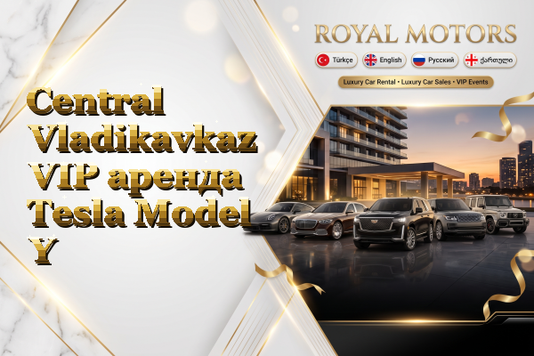 Central Vladikavkaz VIP аренда Tesla Model Y