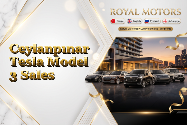 Ceylanpınar Tesla Model 3 Sales