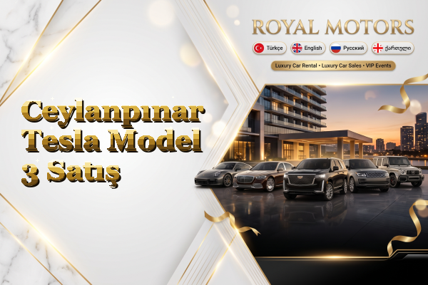 Ceylanpınar Tesla Model 3 Satış