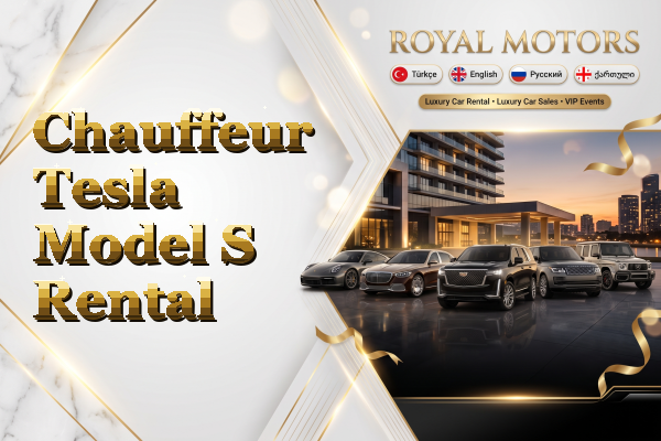 Chauffeur Tesla Model S Rental