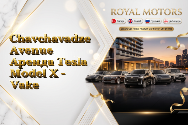 Chavchavadze Avenue Аренда Tesla Model X - Vake