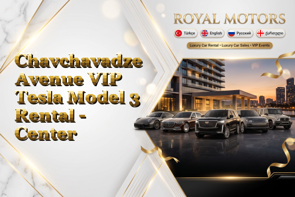 Chavchavadze Avenue VIP Tesla Model 3 Rental - Center