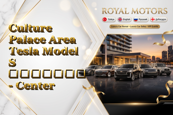 Culture Palace Area Tesla Model S გაყიდვა - Center