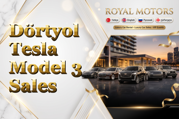 Dörtyol Tesla Model 3 Sales
