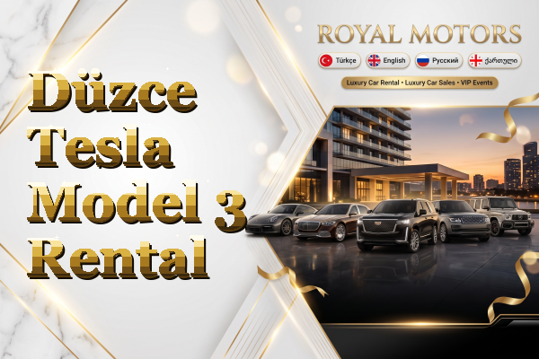 Düzce Tesla Model 3 Rental