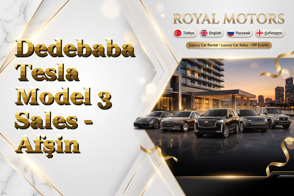 Dedebaba Tesla Model 3 Sales - Afşin