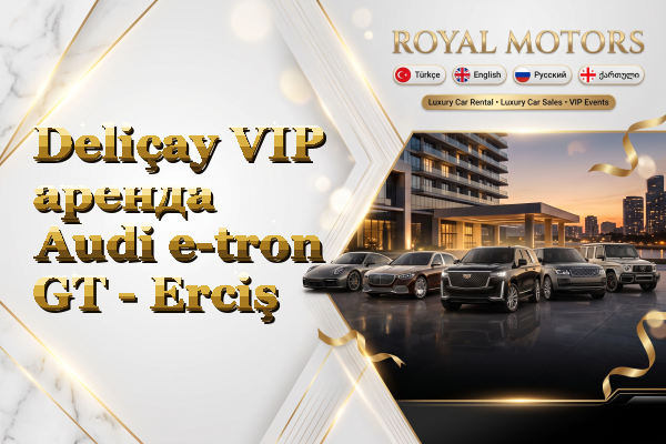 Deliçay VIP аренда Audi e-tron GT - Erciş