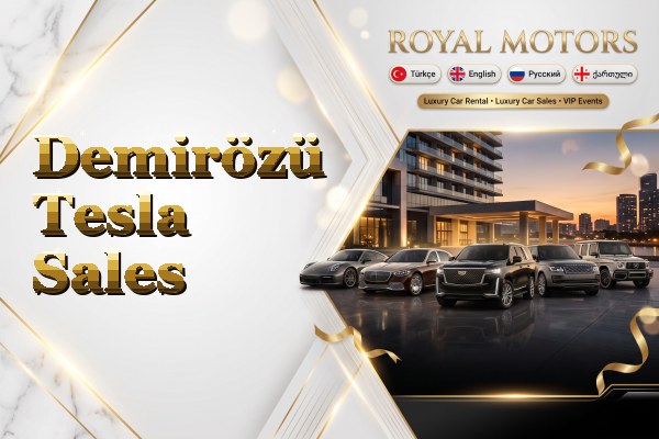 Demirözü Tesla Sales