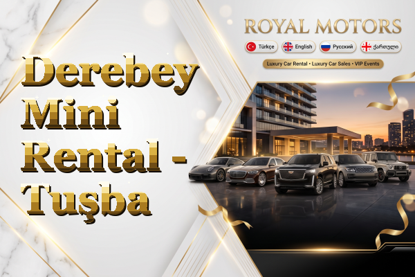 Derebey Mini Rental - Tuşba