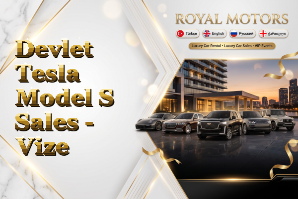Devlet Tesla Model S Sales - Vize