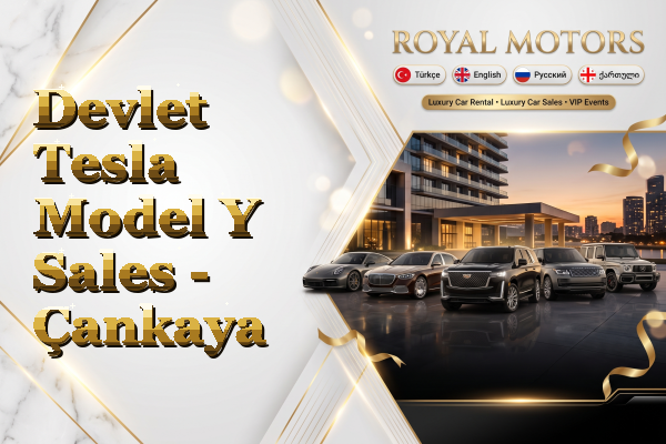 Devlet Tesla Model Y Sales - Çankaya