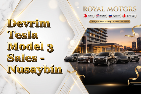 Devrim Tesla Model 3 Sales - Nusaybin